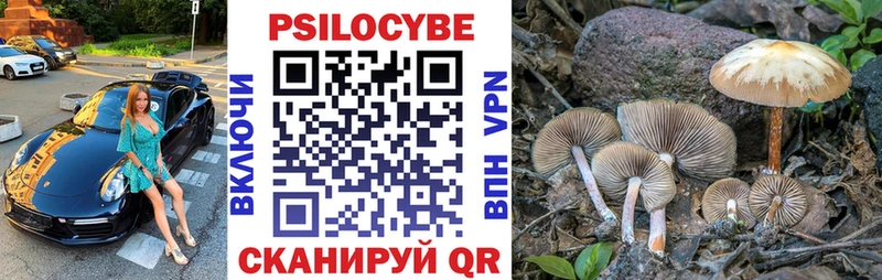 Псилоцибиновые грибы Magic Shrooms  Белгород 